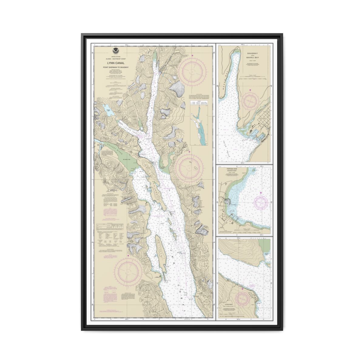 Chart 17317 Lynn Canal-Point Sherman to Skagway;Lutak Inlet;Skagway and Nahku Bay;Portage Cove, Chilkoot Inlet - NOAA Nautical Chart Floating Frame Canvas | 20" x 30" | 24" x 36" | 32" x 48" - Black front