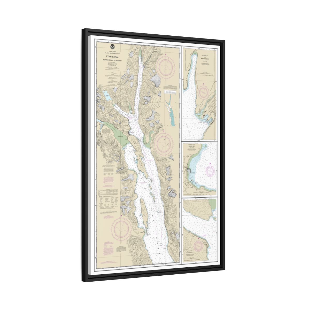 Chart 17317 Lynn Canal-Point Sherman to Skagway;Lutak Inlet;Skagway and Nahku Bay;Portage Cove, Chilkoot Inlet - NOAA Nautical Chart Floating Frame Canvas | 20" x 30" | 24" x 36" | 32" x 48" - Black side