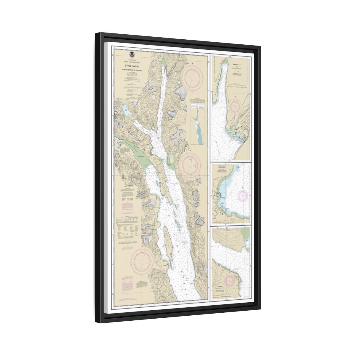Chart 17317 Lynn Canal-Point Sherman to Skagway;Lutak Inlet;Skagway and Nahku Bay;Portage Cove, Chilkoot Inlet - NOAA Nautical Chart Floating Frame Canvas | 20" x 30" | 24" x 36" | 32" x 48" - Black side