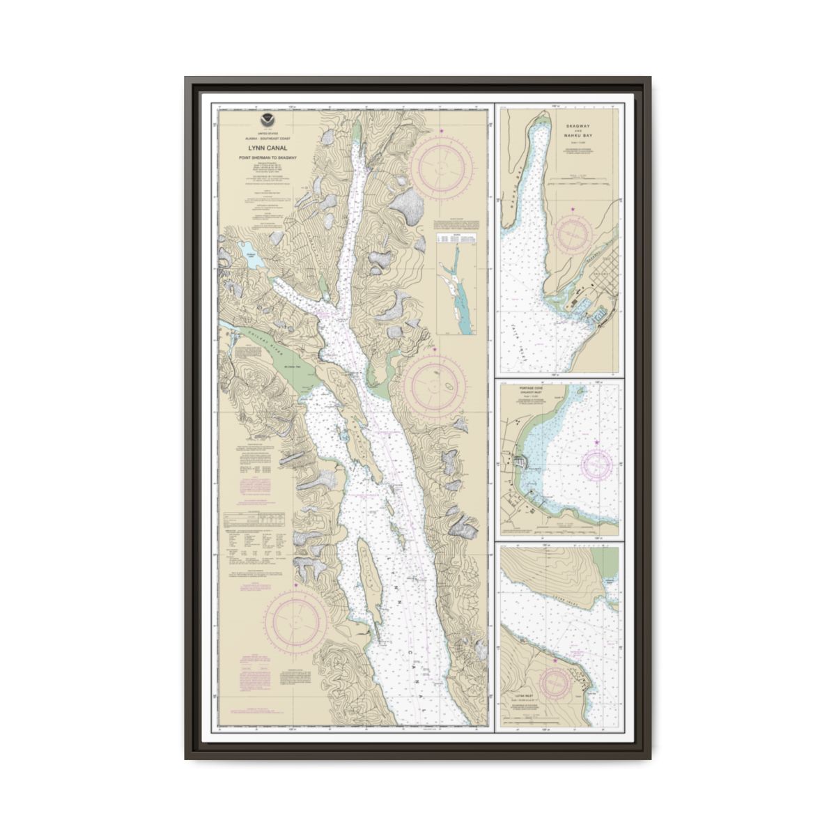 Chart 17317 Lynn Canal-Point Sherman to Skagway;Lutak Inlet;Skagway and Nahku Bay;Portage Cove, Chilkoot Inlet - NOAA Nautical Chart Floating Frame Canvas | 20" x 30" | 24" x 36" | 32" x 48" - Espresso front