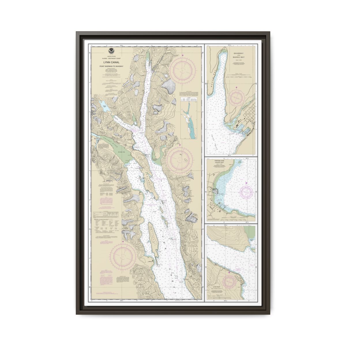 Chart 17317 Lynn Canal-Point Sherman to Skagway;Lutak Inlet;Skagway and Nahku Bay;Portage Cove, Chilkoot Inlet - NOAA Nautical Chart Floating Frame Canvas | 20" x 30" | 24" x 36" | 32" x 48" - Espresso front