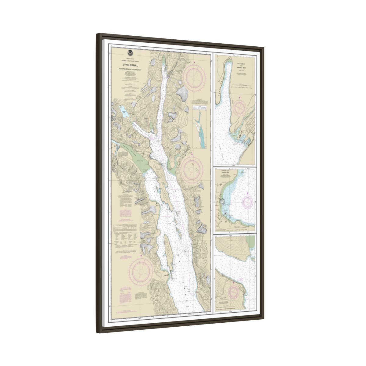 Chart 17317 Lynn Canal-Point Sherman to Skagway;Lutak Inlet;Skagway and Nahku Bay;Portage Cove, Chilkoot Inlet - NOAA Nautical Chart Floating Frame Canvas | 20" x 30" | 24" x 36" | 32" x 48" - Espresso side