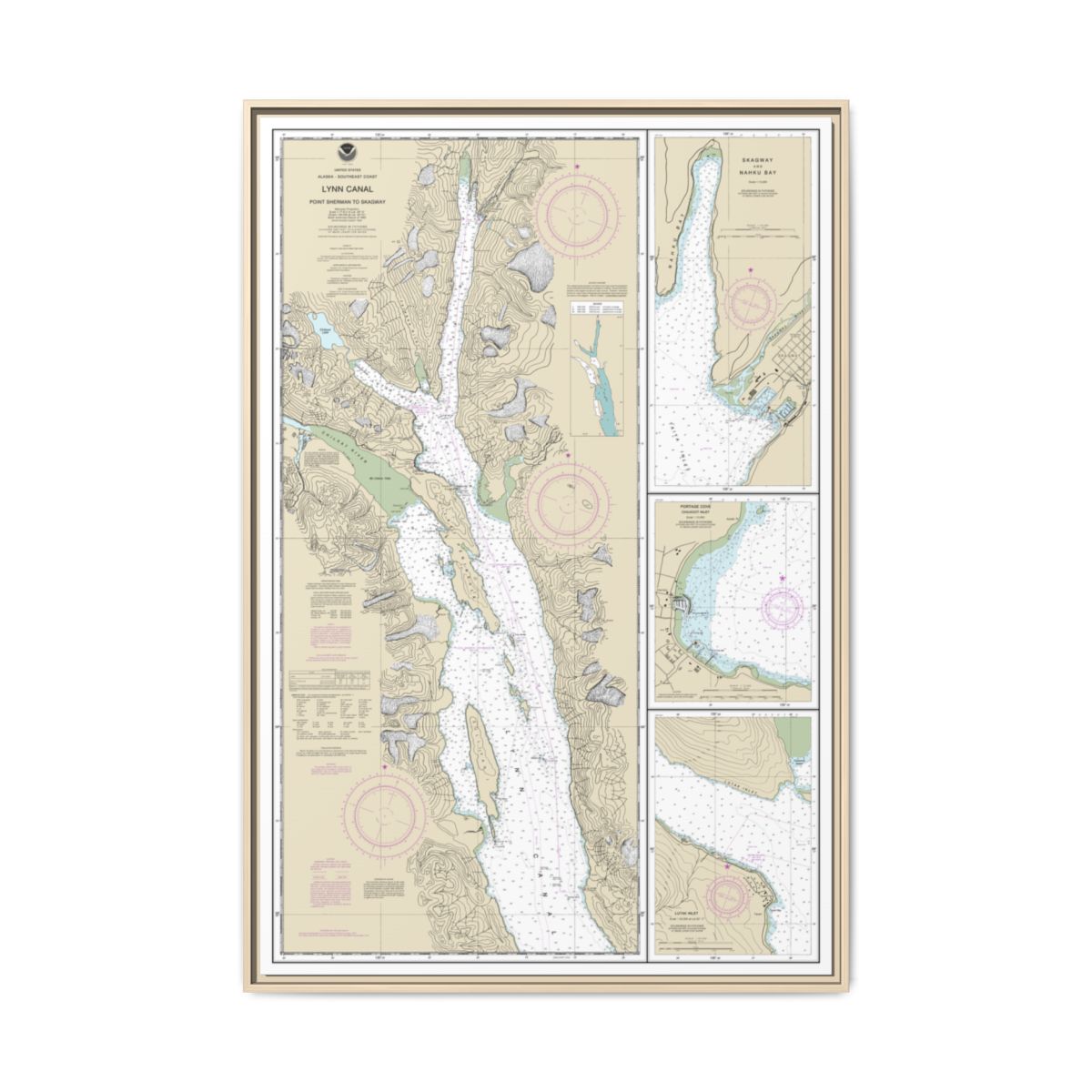 Chart 17317 Lynn Canal-Point Sherman to Skagway;Lutak Inlet;Skagway and Nahku Bay;Portage Cove, Chilkoot Inlet - NOAA Nautical Chart Floating Frame Canvas | 20" x 30" | 24" x 36" | 32" x 48" - Natural front