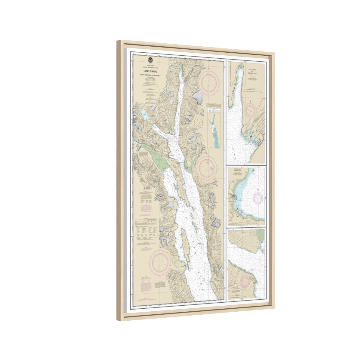 Chart 17317 Lynn Canal-Point Sherman to Skagway;Lutak Inlet;Skagway and Nahku Bay;Portage Cove, Chilkoot Inlet - NOAA Nautical Chart Floating Frame Canvas | 20" x 30" | 24" x 36" | 32" x 48" - Natural side