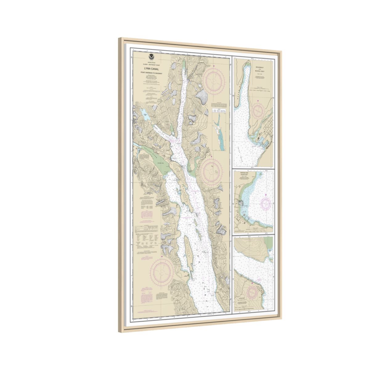 Chart 17317 Lynn Canal-Point Sherman to Skagway;Lutak Inlet;Skagway and Nahku Bay;Portage Cove, Chilkoot Inlet - NOAA Nautical Chart Floating Frame Canvas | 20" x 30" | 24" x 36" | 32" x 48" - Natural side