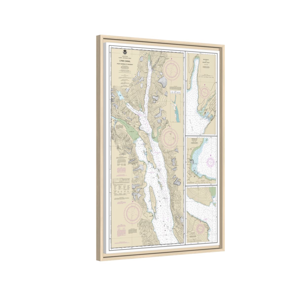 Chart 17317 Lynn Canal-Point Sherman to Skagway;Lutak Inlet;Skagway and Nahku Bay;Portage Cove, Chilkoot Inlet - NOAA Nautical Chart Floating Frame Canvas | 20" x 30" | 24" x 36" | 32" x 48" - Natural side
