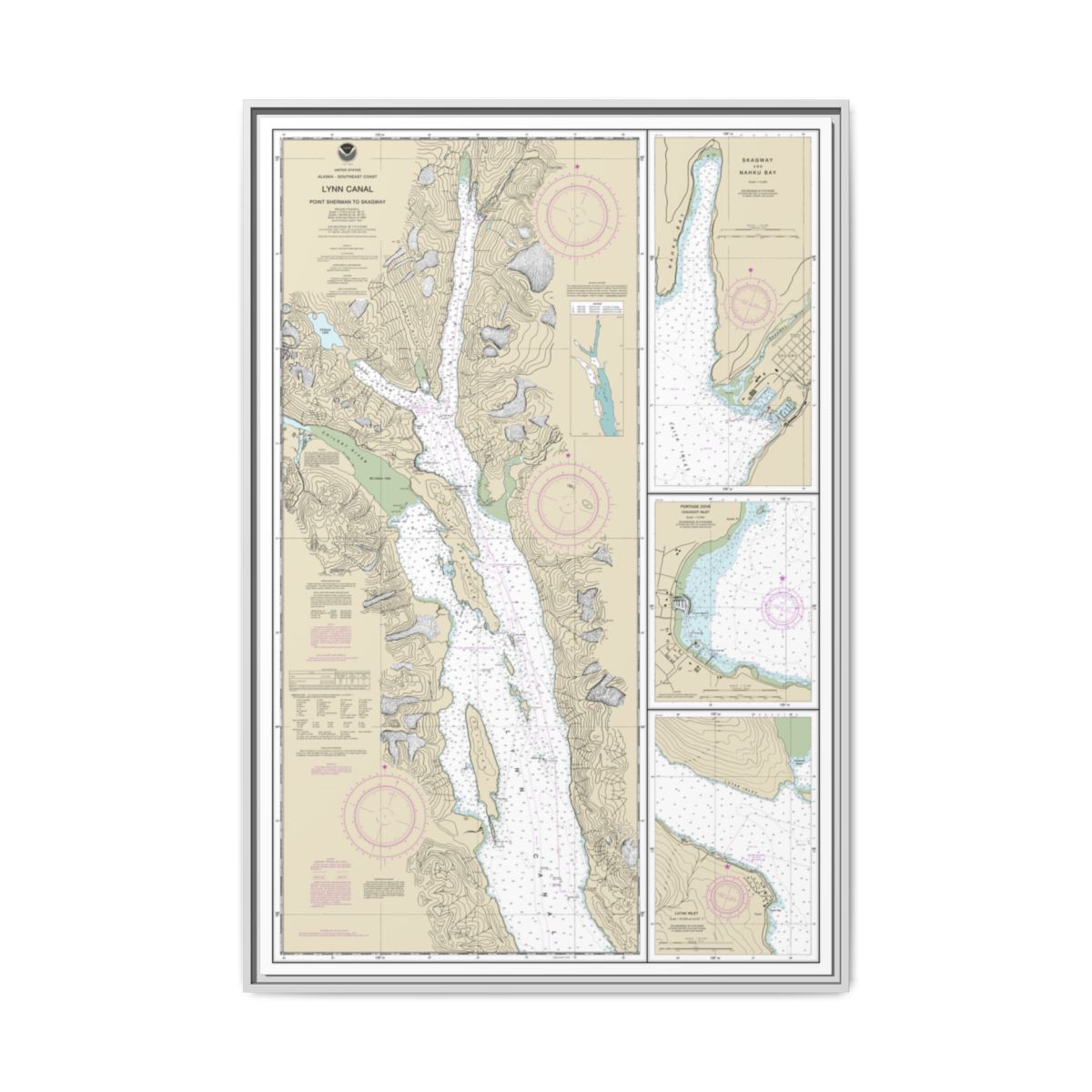 Chart 17317 Lynn Canal-Point Sherman to Skagway;Lutak Inlet;Skagway and Nahku Bay;Portage Cove, Chilkoot Inlet - NOAA Nautical Chart Floating Frame Canvas | 20" x 30" | 24" x 36" | 32" x 48" - White front
