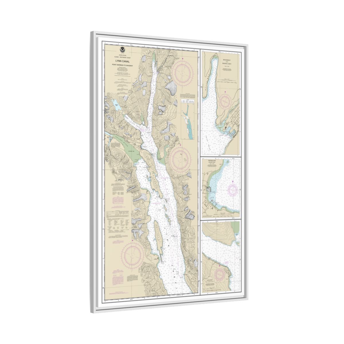 Chart 17317 Lynn Canal-Point Sherman to Skagway;Lutak Inlet;Skagway and Nahku Bay;Portage Cove, Chilkoot Inlet - NOAA Nautical Chart Floating Frame Canvas | 20" x 30" | 24" x 36" | 32" x 48" - White side