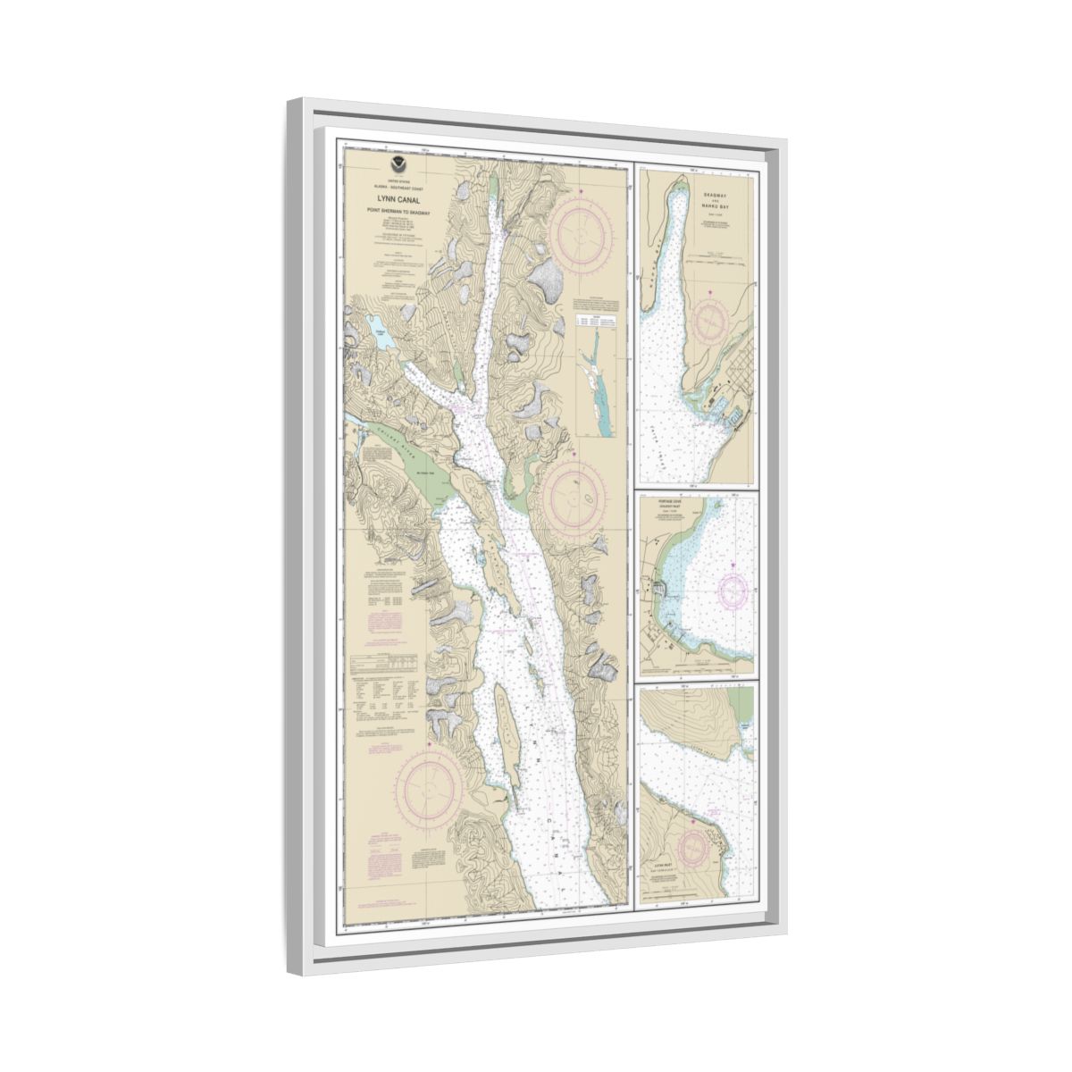 Chart 17317 Lynn Canal-Point Sherman to Skagway;Lutak Inlet;Skagway and Nahku Bay;Portage Cove, Chilkoot Inlet - NOAA Nautical Chart Floating Frame Canvas | 20" x 30" | 24" x 36" | 32" x 48" - White side