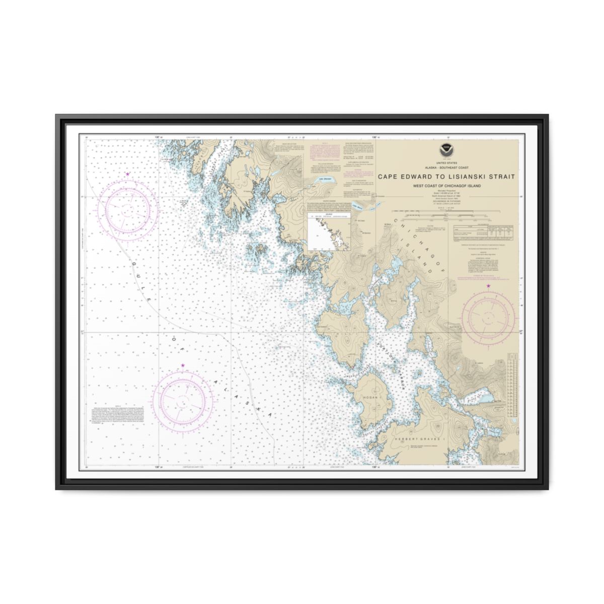 Chart 17321 Cape Edward to Lisianski Strait, Chichagof Island - NOAA Nautical Chart Floating Frame Canvas | 32" x 24" | 40" x 30" - Black front