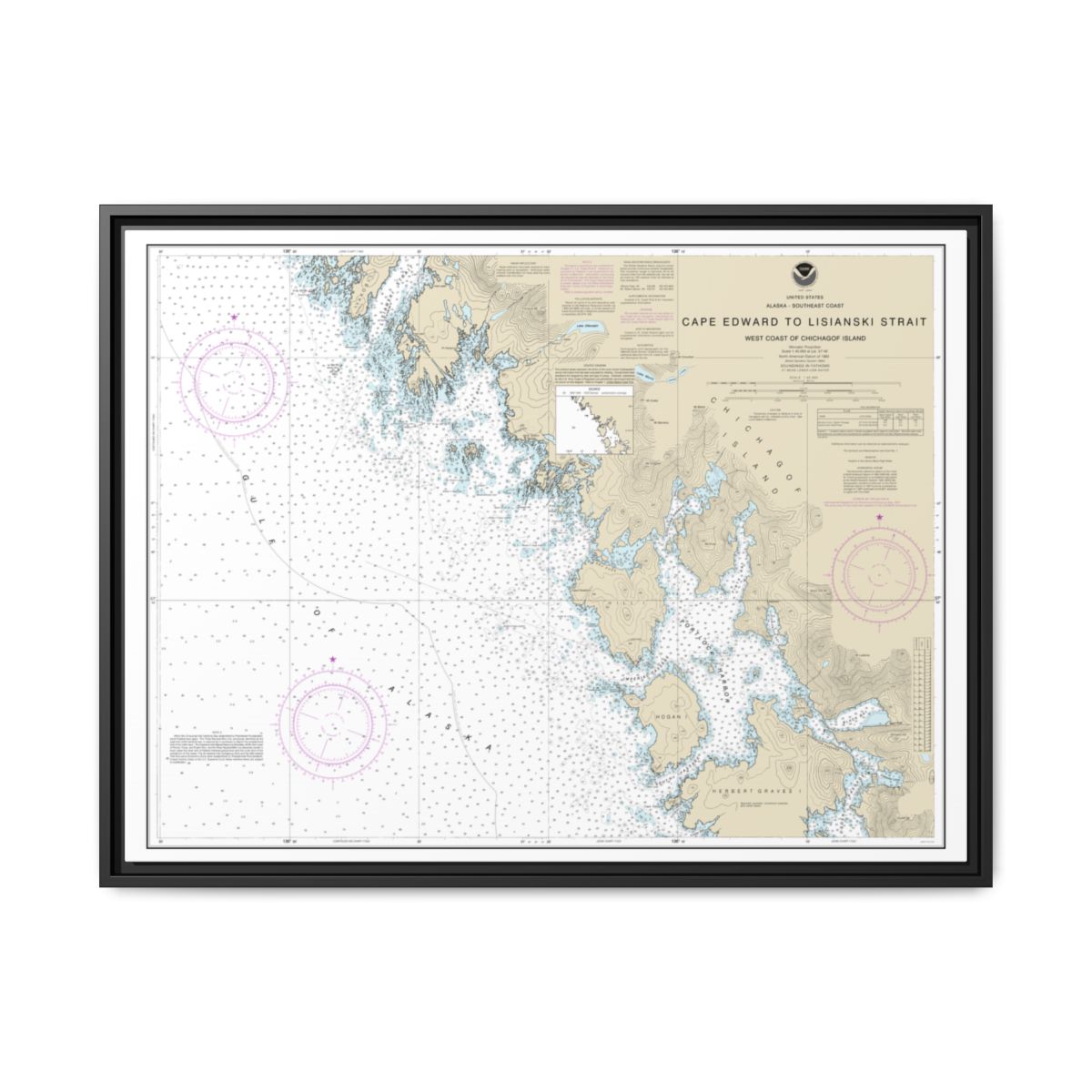 Chart 17321 Cape Edward to Lisianski Strait, Chichagof Island - NOAA Nautical Chart Floating Frame Canvas | 32" x 24" | 40" x 30" - Black front