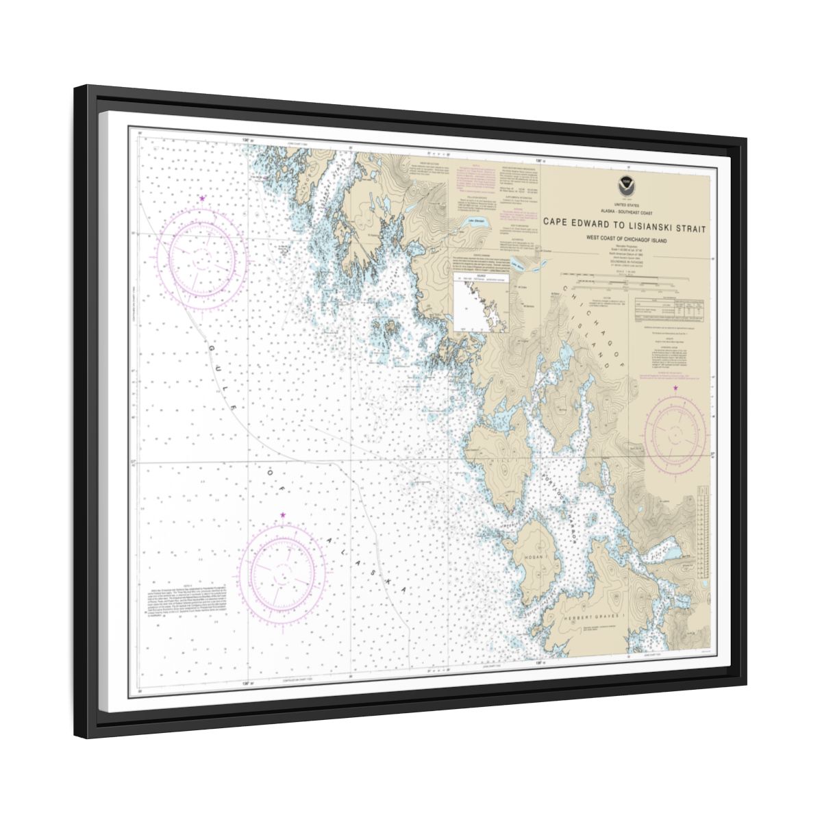 Chart 17321 Cape Edward to Lisianski Strait, Chichagof Island - NOAA Nautical Chart Floating Frame Canvas | 32" x 24" | 40" x 30" - Black side