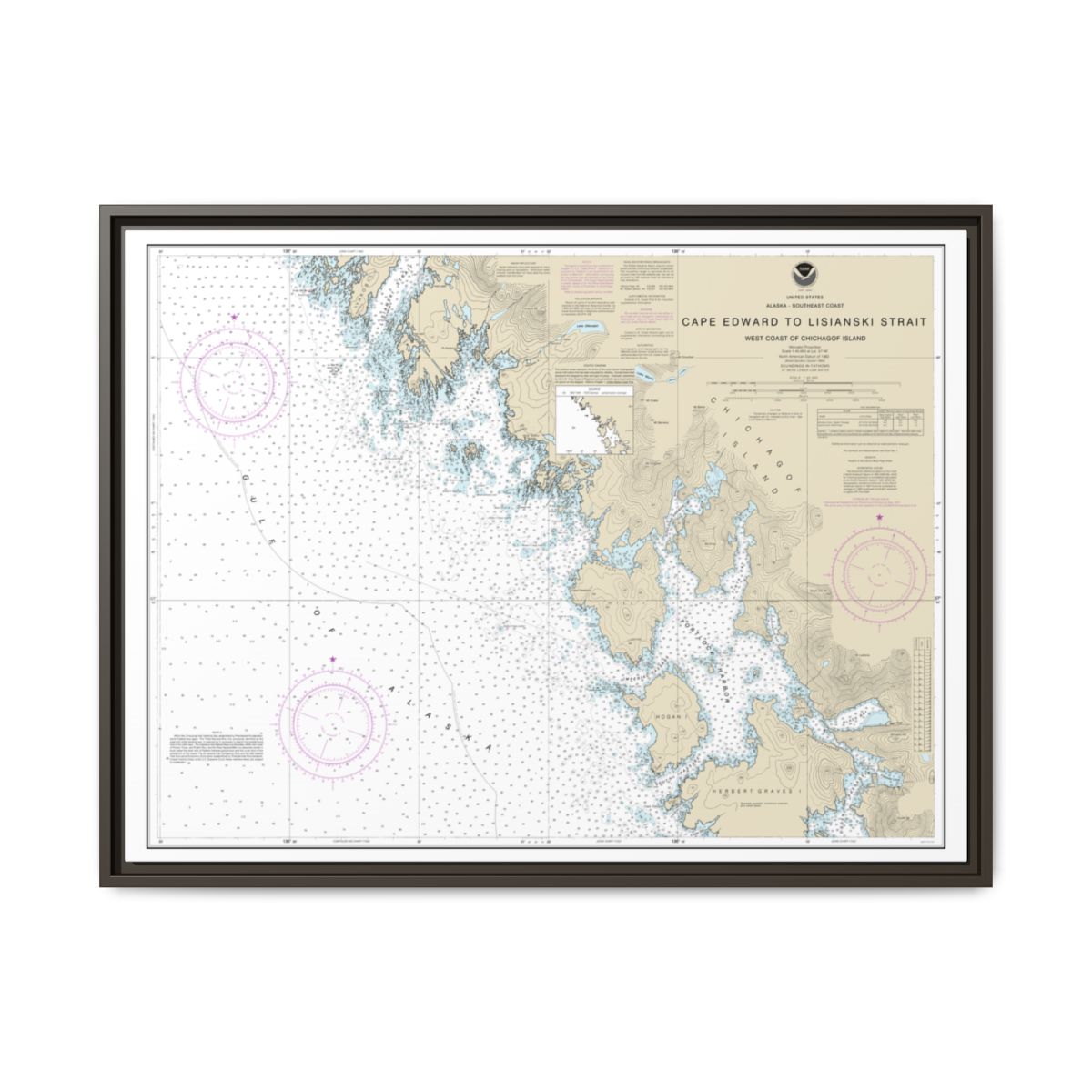 Chart 17321 Cape Edward to Lisianski Strait, Chichagof Island - NOAA Nautical Chart Floating Frame Canvas | 32" x 24" | 40" x 30" - Espresso front