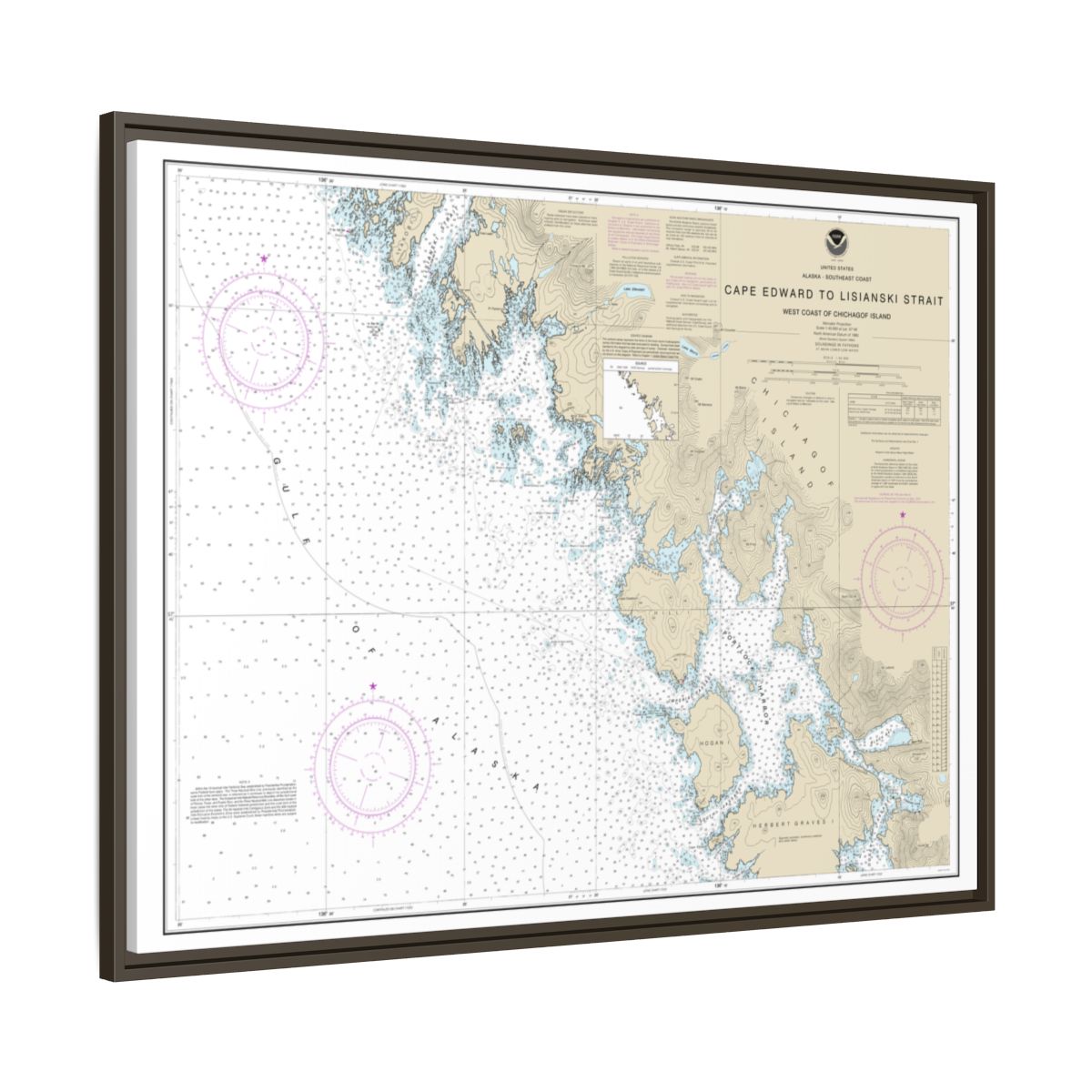 Chart 17321 Cape Edward to Lisianski Strait, Chichagof Island - NOAA Nautical Chart Floating Frame Canvas | 32" x 24" | 40" x 30" - Espresso side