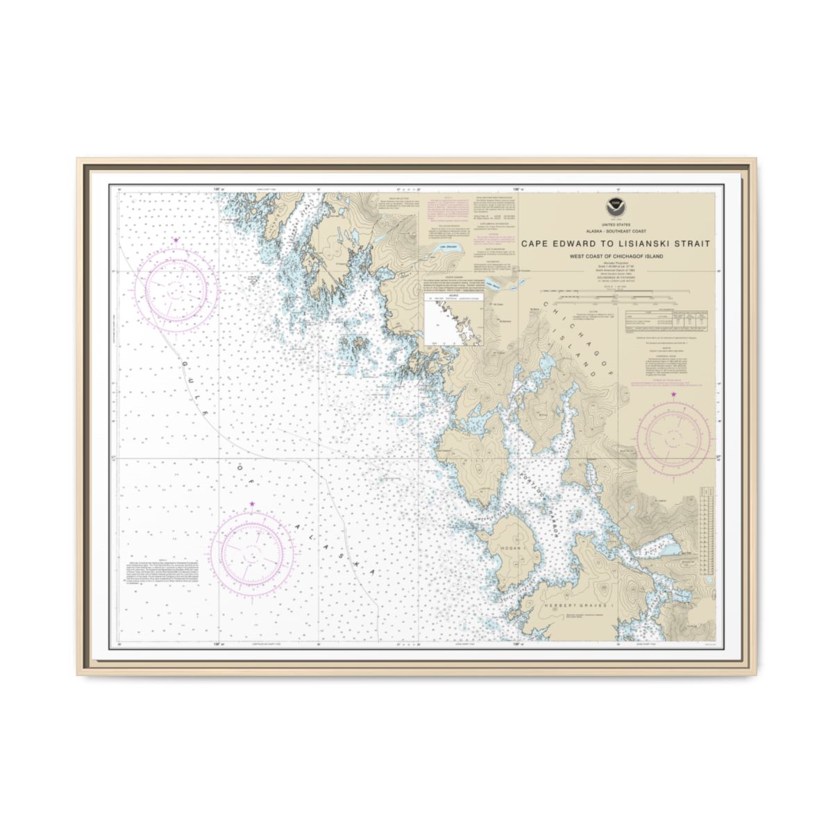 Chart 17321 Cape Edward to Lisianski Strait, Chichagof Island - NOAA Nautical Chart Floating Frame Canvas | 32" x 24" | 40" x 30" - Natural front