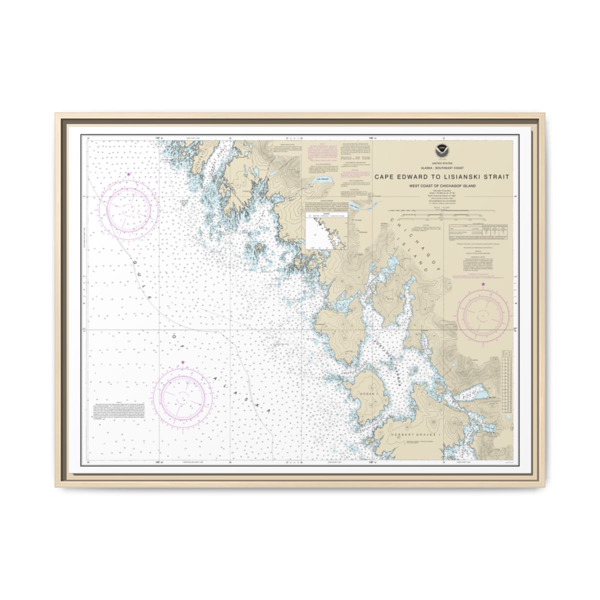 Chart 17321 Cape Edward to Lisianski Strait, Chichagof Island - NOAA Nautical Chart Floating Frame Canvas | 32" x 24" | 40" x 30" - Natural front