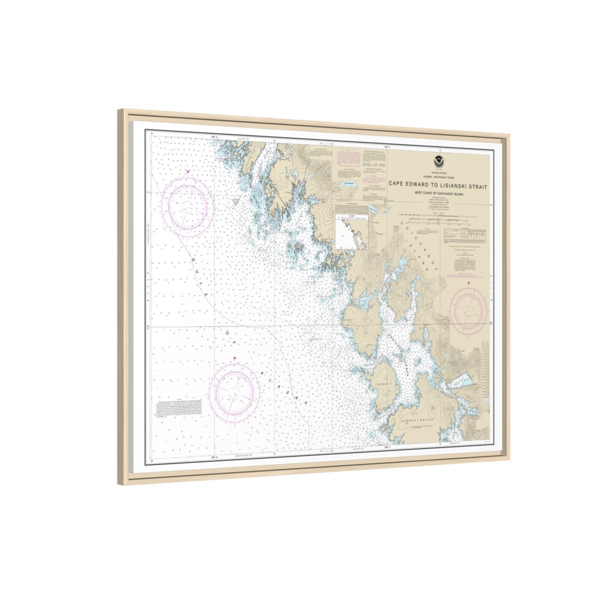 Chart 17321 Cape Edward to Lisianski Strait, Chichagof Island - NOAA Nautical Chart Floating Frame Canvas | 32" x 24" | 40" x 30" - Natural side