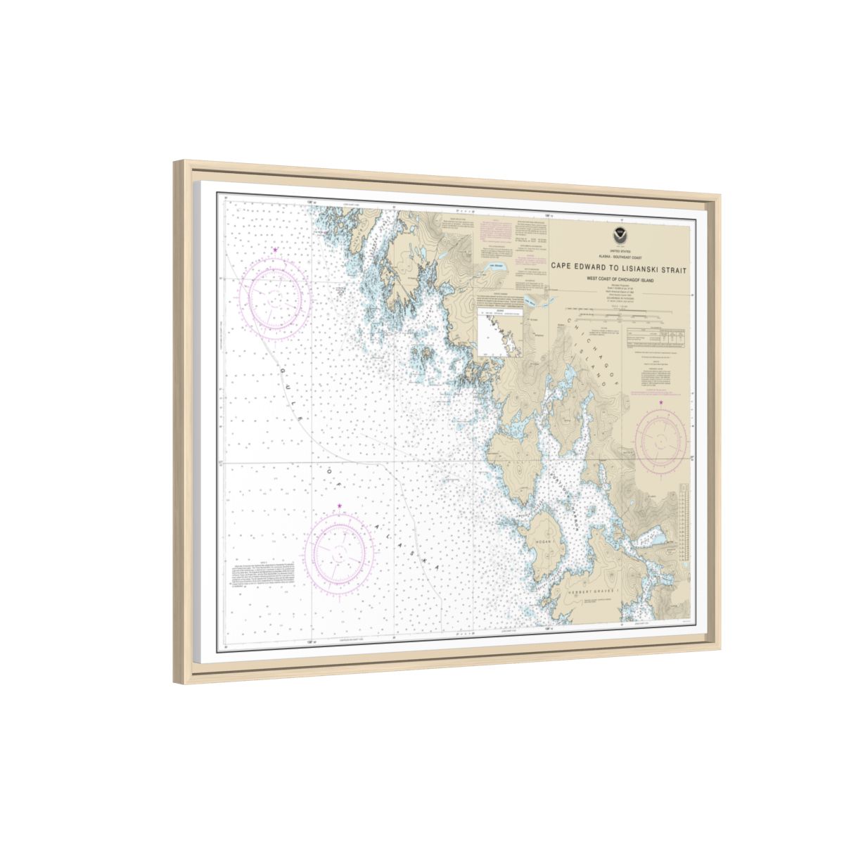Chart 17321 Cape Edward to Lisianski Strait, Chichagof Island - NOAA Nautical Chart Floating Frame Canvas | 32" x 24" | 40" x 30" - Natural side
