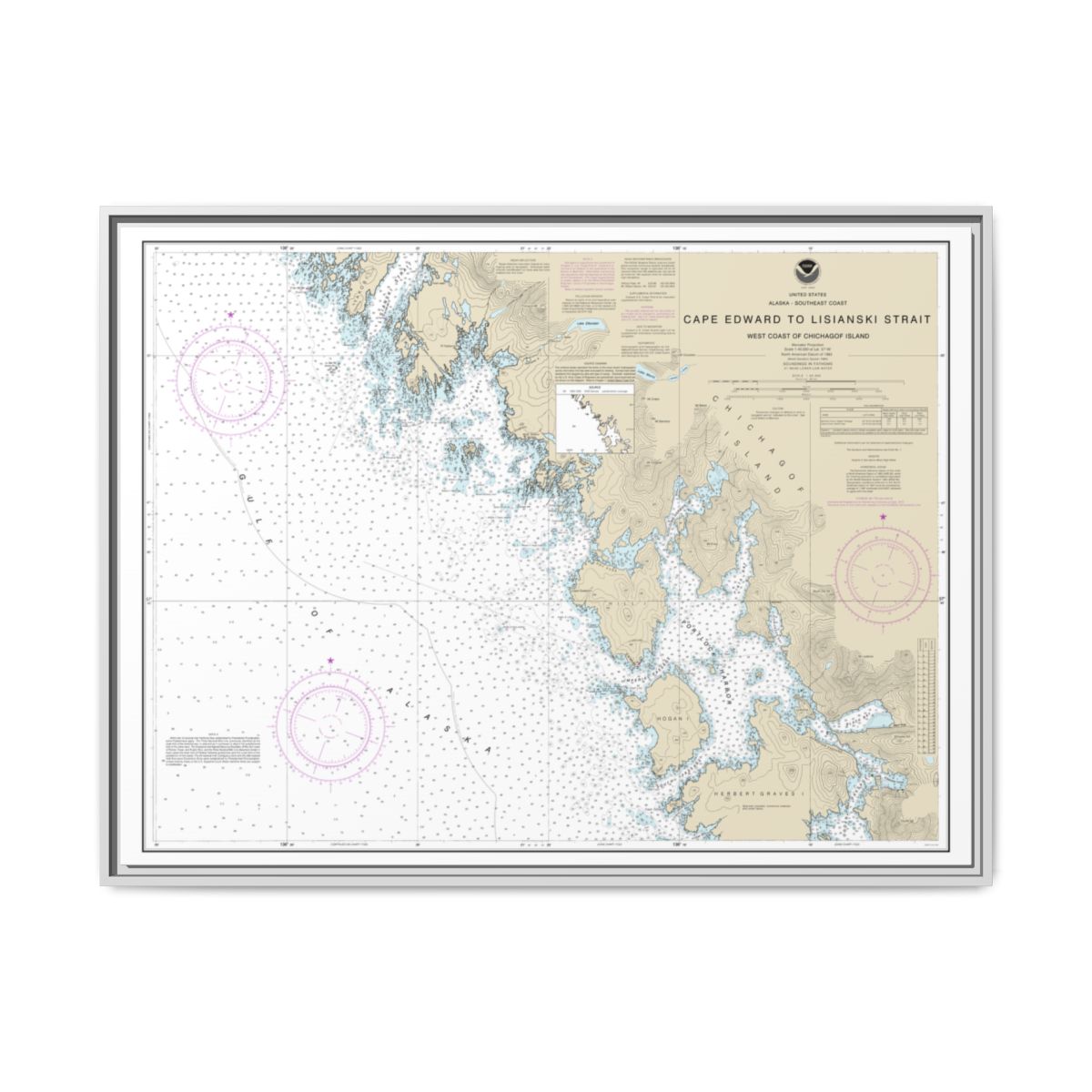 Chart 17321 Cape Edward to Lisianski Strait, Chichagof Island - NOAA Nautical Chart Floating Frame Canvas | 32" x 24" | 40" x 30" - White front