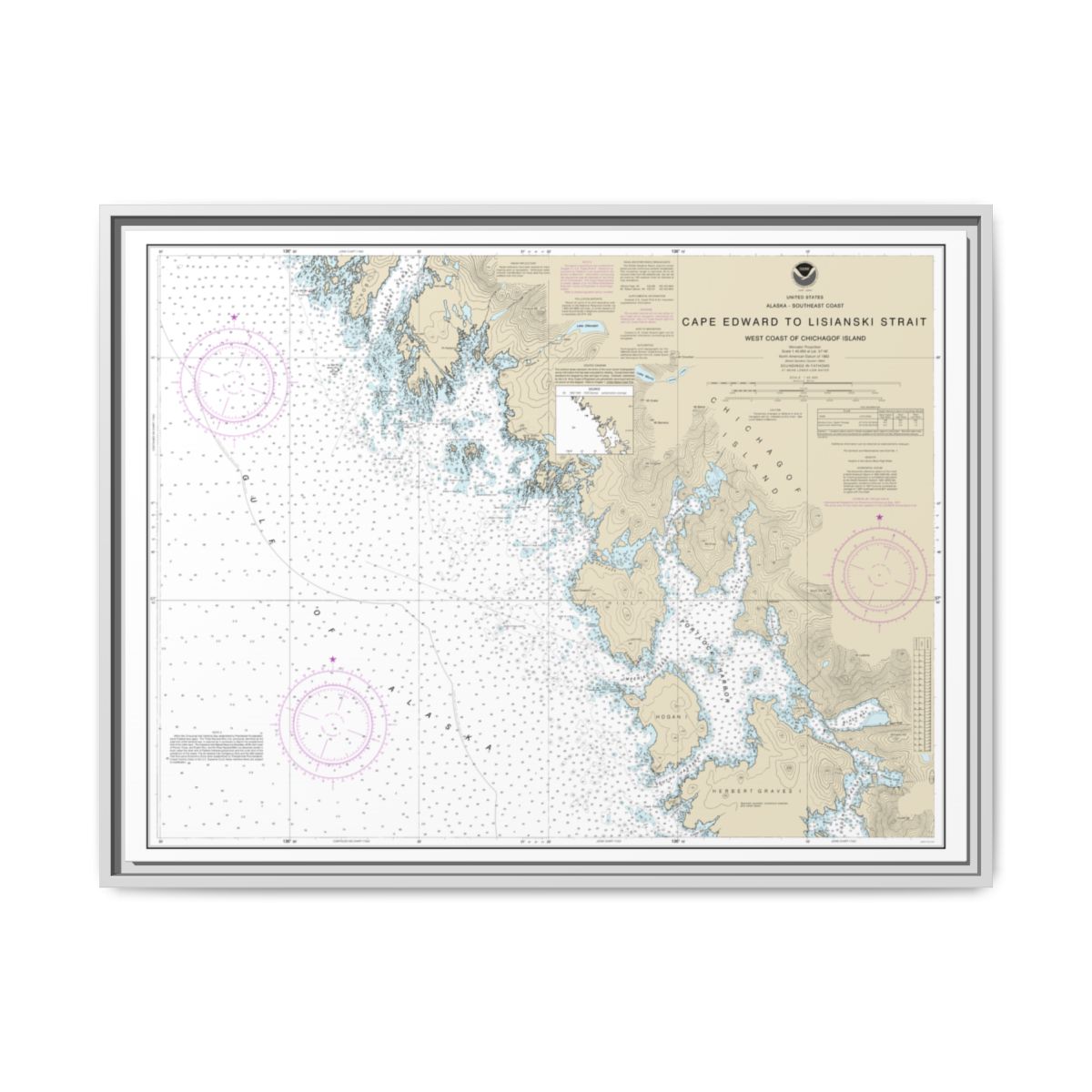 Chart 17321 Cape Edward to Lisianski Strait, Chichagof Island - NOAA Nautical Chart Floating Frame Canvas | 32" x 24" | 40" x 30" - White front