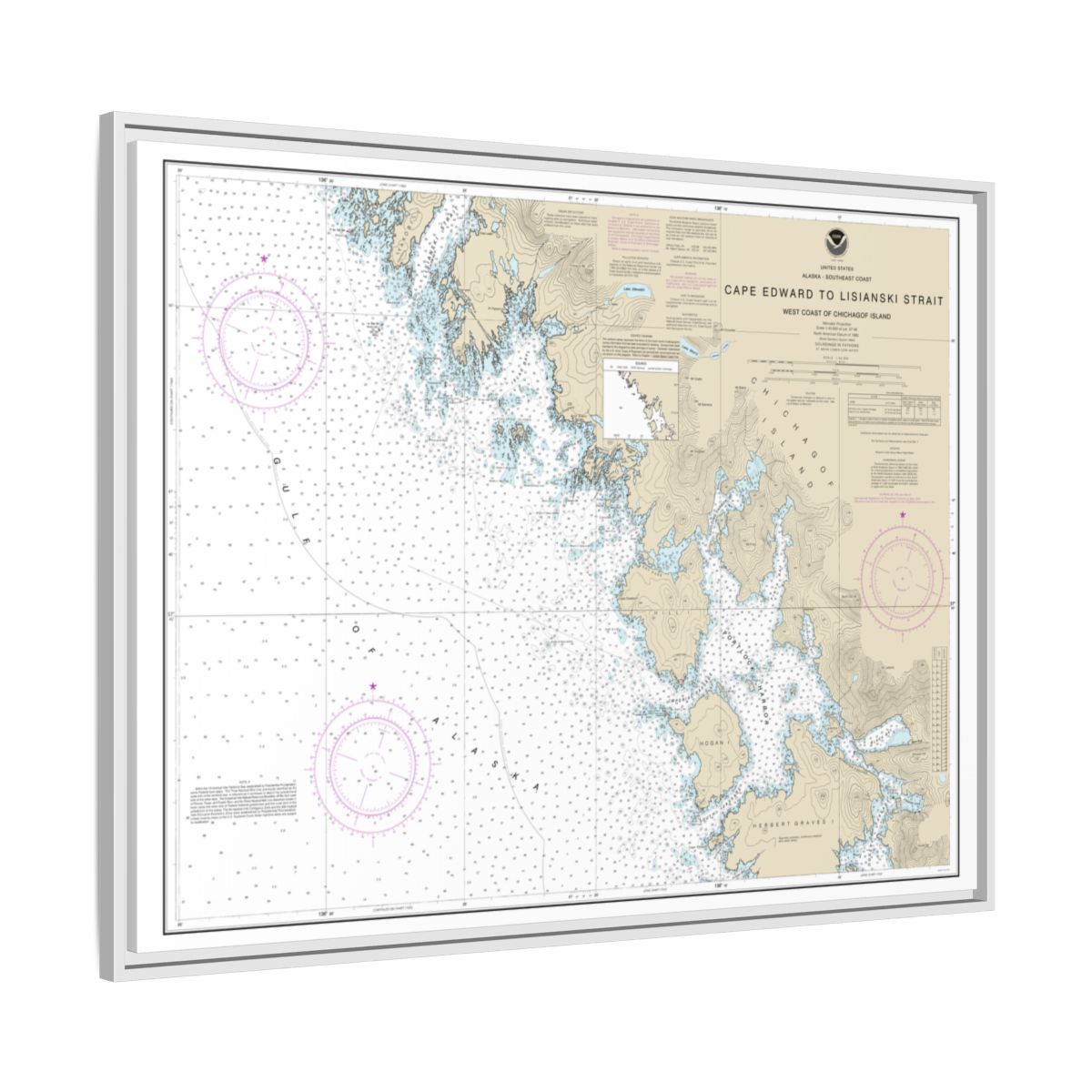 Chart 17321 Cape Edward to Lisianski Strait, Chichagof Island - NOAA Nautical Chart Floating Frame Canvas | 32" x 24" | 40" x 30" - White side