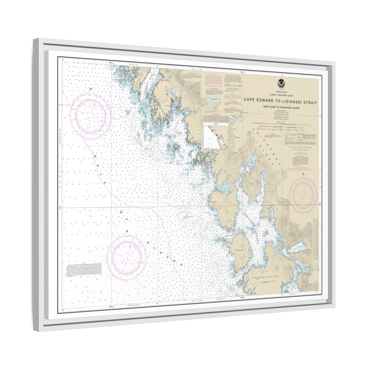 Chart 17321 Cape Edward to Lisianski Strait, Chichagof Island - NOAA Nautical Chart Floating Frame Canvas | 32" x 24" | 40" x 30" - White side