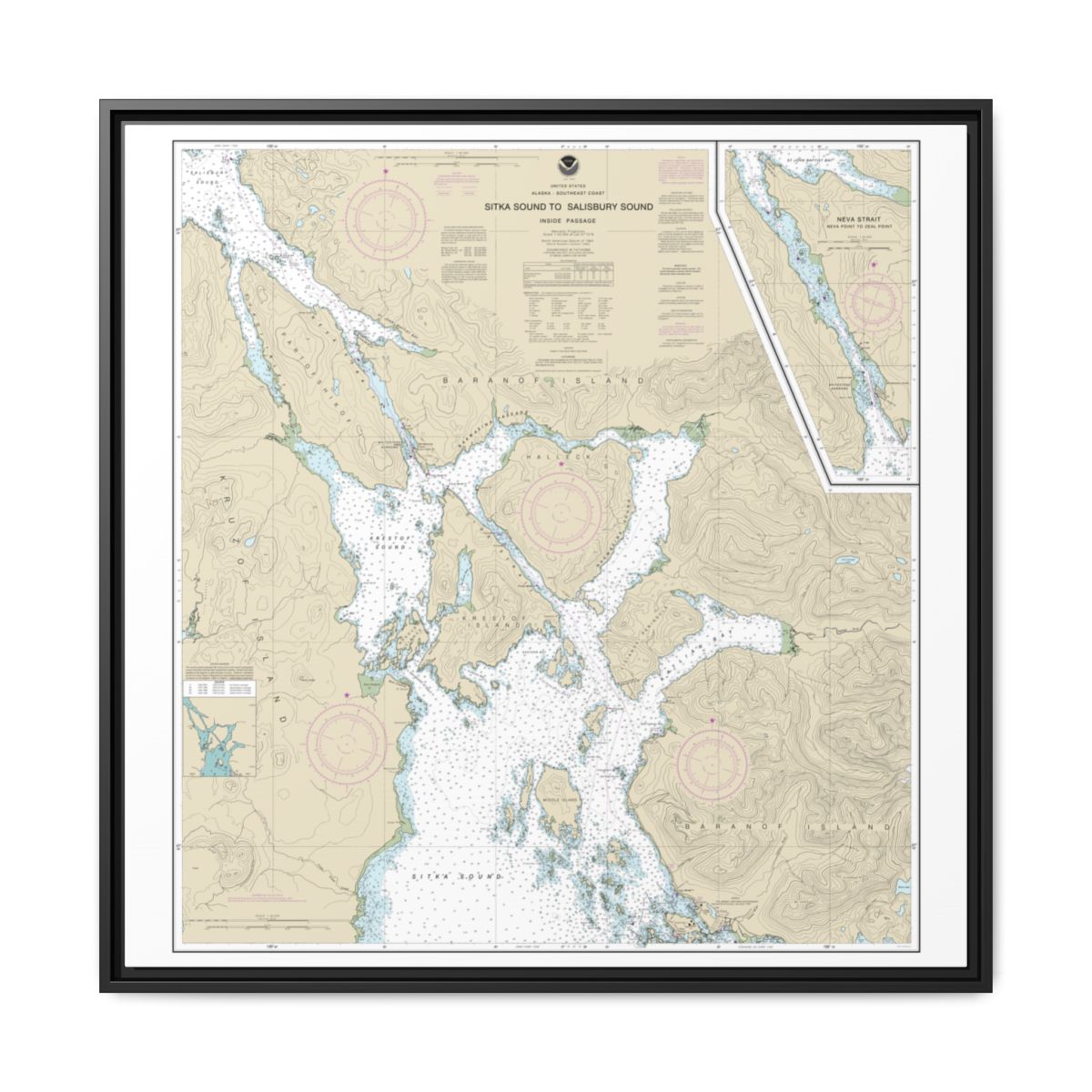 Chart 17324 Sitka Sound to Salisbury Sound, Inside Passage;Neva Str.-Neva Pt. to Zeal Pt. - NOAA Nautical Chart Floating Frame Canvas | 32" x 32" - Black front