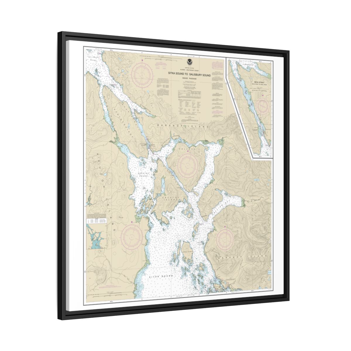 Chart 17324 Sitka Sound to Salisbury Sound, Inside Passage;Neva Str.-Neva Pt. to Zeal Pt. - NOAA Nautical Chart Floating Frame Canvas | 32" x 32" - Black side