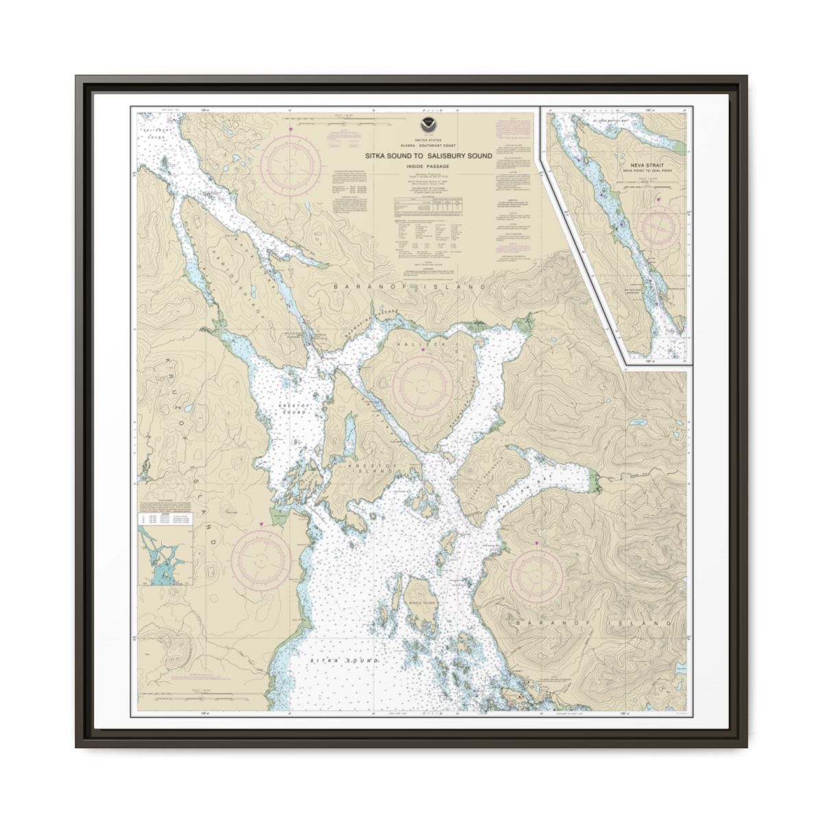 Chart 17324 Sitka Sound to Salisbury Sound, Inside Passage;Neva Str.-Neva Pt. to Zeal Pt. - NOAA Nautical Chart Floating Frame Canvas | 32" x 32" - Espresso front