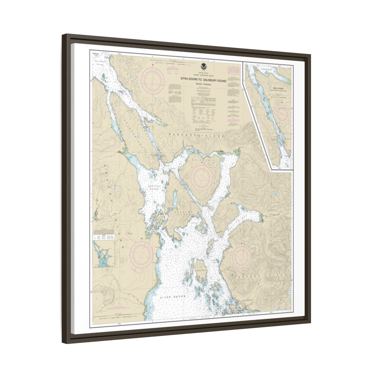 Chart 17324 Sitka Sound to Salisbury Sound, Inside Passage;Neva Str.-Neva Pt. to Zeal Pt. - NOAA Nautical Chart Floating Frame Canvas | 32" x 32" - Espresso side