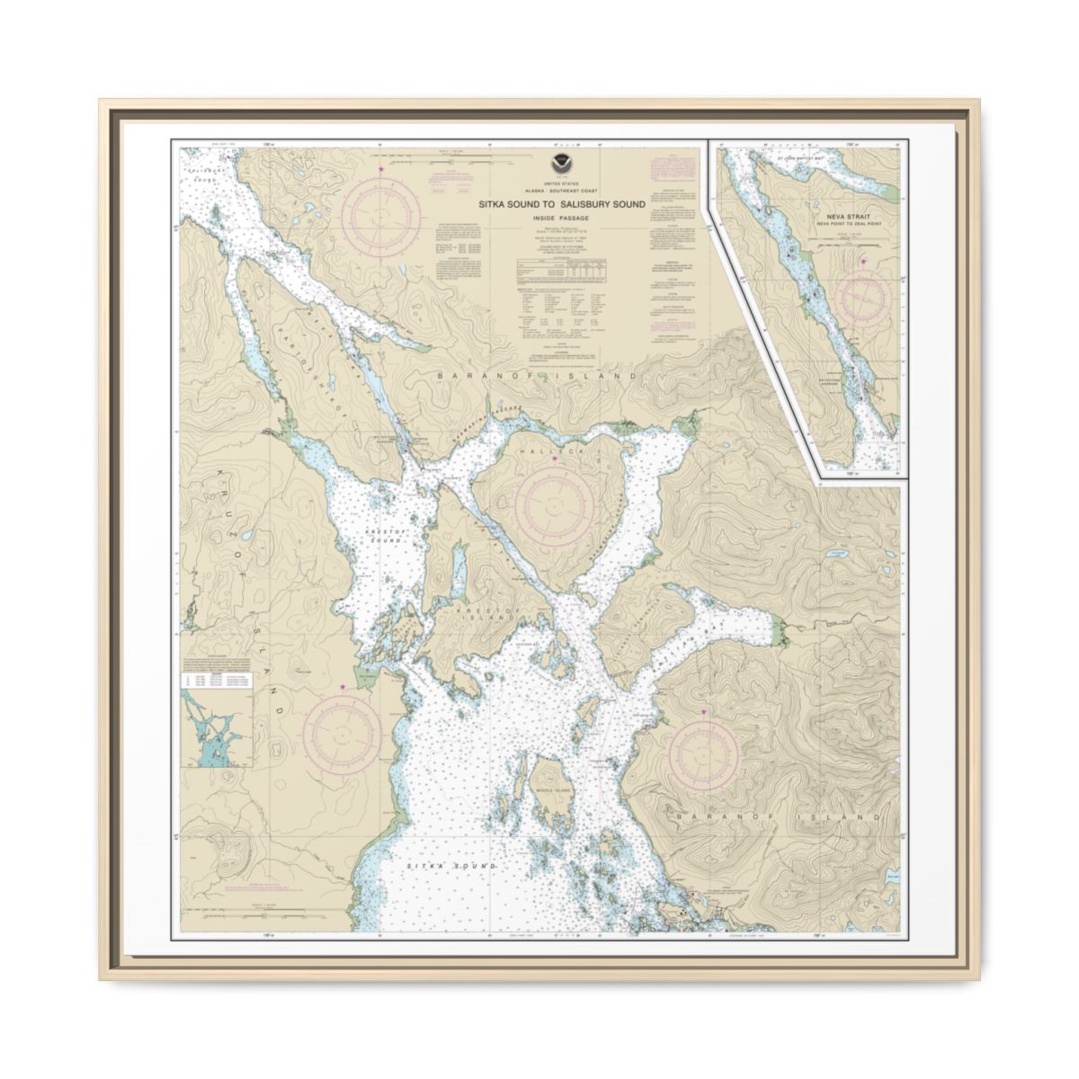 Chart 17324 Sitka Sound to Salisbury Sound, Inside Passage;Neva Str.-Neva Pt. to Zeal Pt. - NOAA Nautical Chart Floating Frame Canvas | 32" x 32" - Natural front