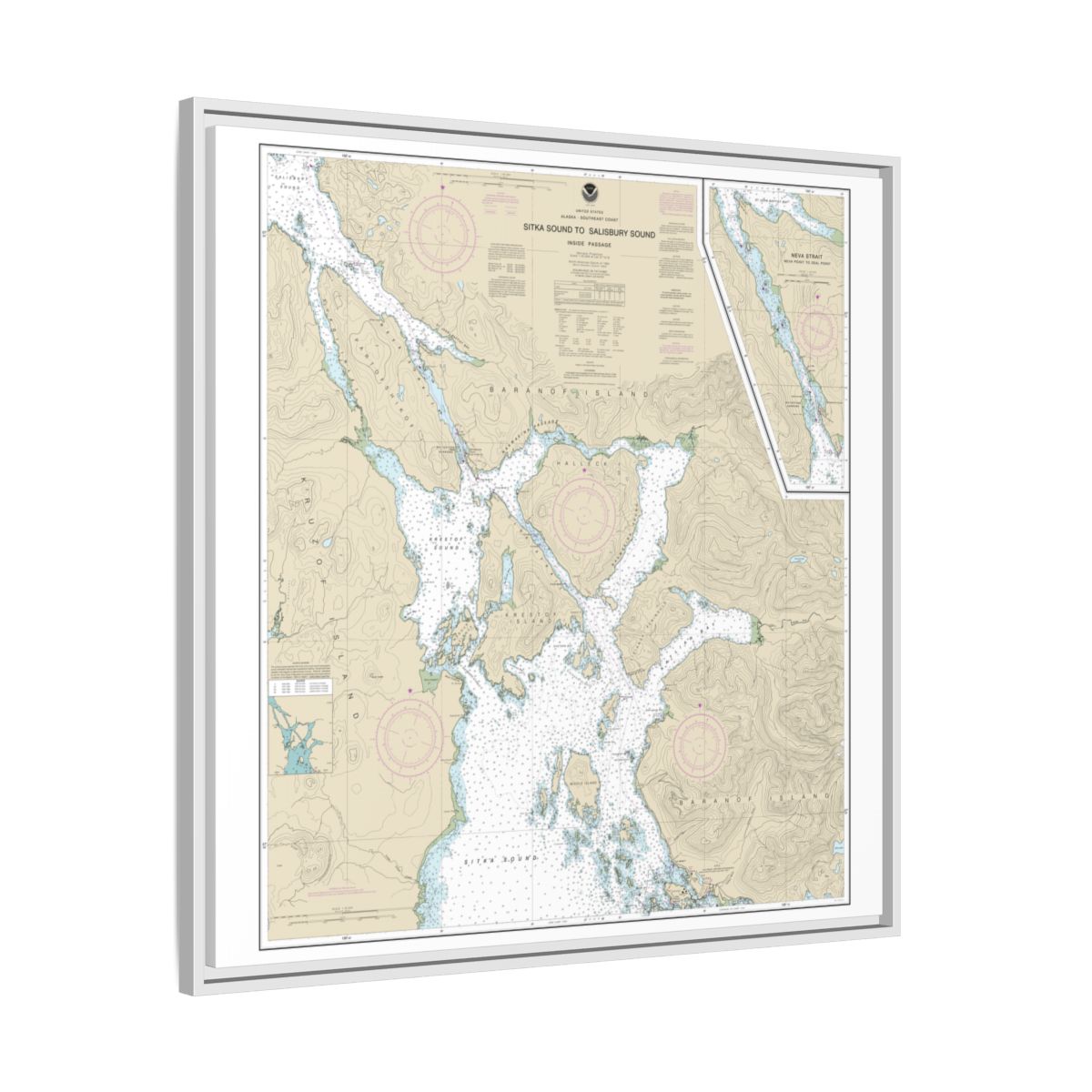 Chart 17324 Sitka Sound to Salisbury Sound, Inside Passage;Neva Str.-Neva Pt. to Zeal Pt. - NOAA Nautical Chart Floating Frame Canvas | 32" x 32" - White side