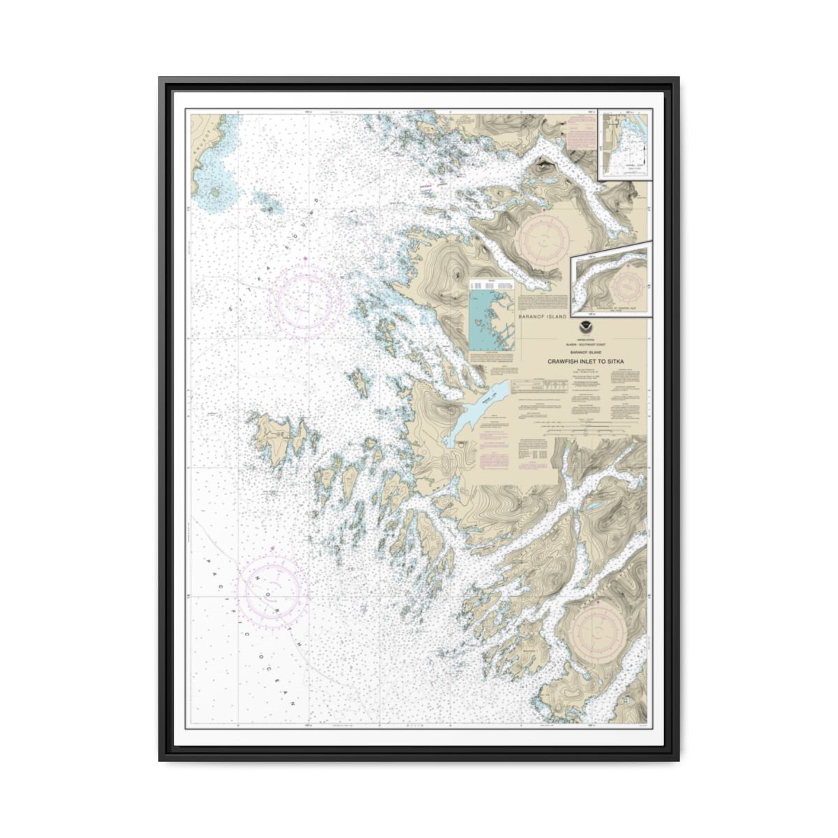 Chart 17326 Crawfish Inlet to Sitka, Baranof I.;Sawmill Cove - NOAA Nautical Chart Floating Frame Canvas | 24" x 32" | 30" x 40" - Black front