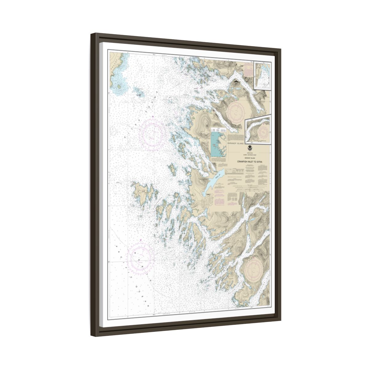 Chart 17326 Crawfish Inlet to Sitka, Baranof I.;Sawmill Cove - NOAA Nautical Chart Floating Frame Canvas | 24" x 32" | 30" x 40" - Espresso side