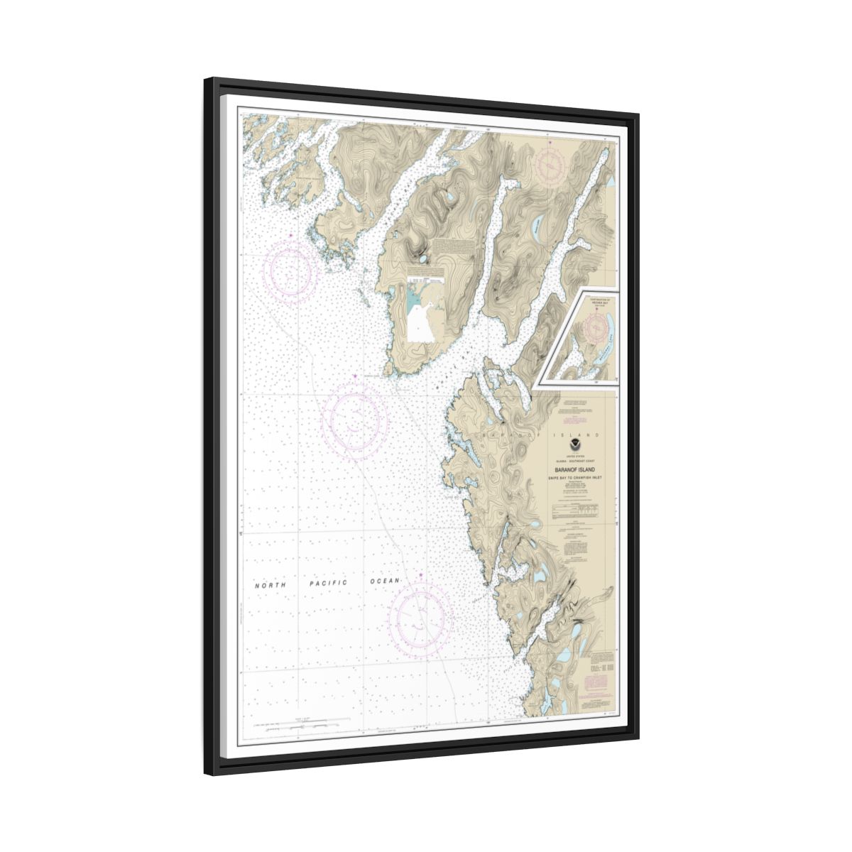 Chart 17328 Snipe Bay to Crawfish Inlet,Baranof l. - NOAA Nautical Chart Floating Frame Canvas | 24" x 32" | 30" x 40" - Black side