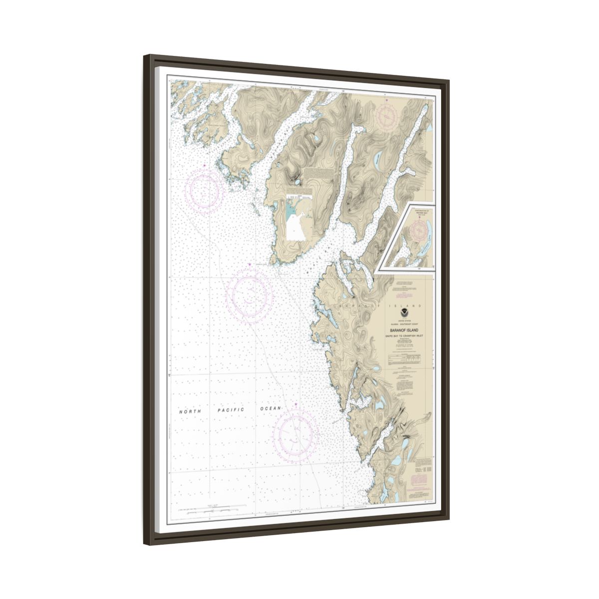 Chart 17328 Snipe Bay to Crawfish Inlet,Baranof l. - NOAA Nautical Chart Floating Frame Canvas | 24" x 32" | 30" x 40" - Espresso side