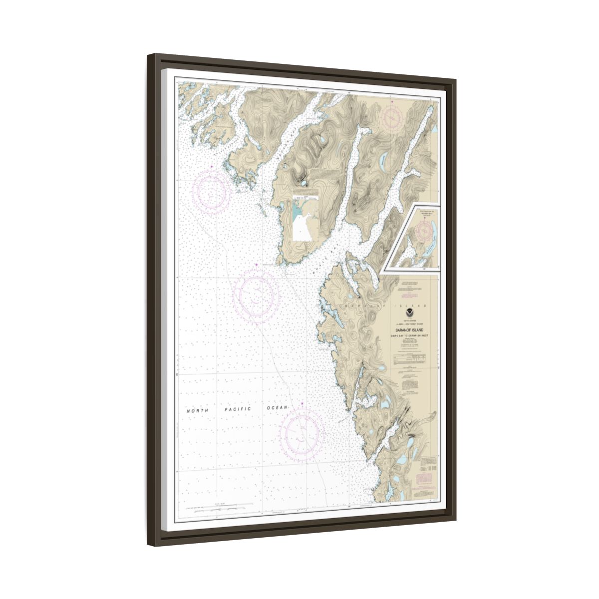 Chart 17328 Snipe Bay to Crawfish Inlet,Baranof l. - NOAA Nautical Chart Floating Frame Canvas | 24" x 32" | 30" x 40" - Espresso side