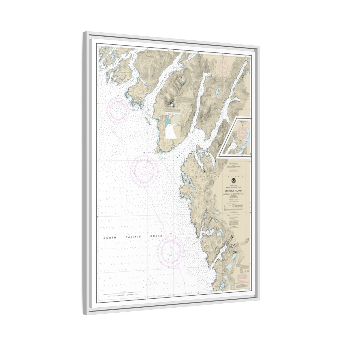 Chart 17328 Snipe Bay to Crawfish Inlet,Baranof l. - NOAA Nautical Chart Floating Frame Canvas | 24" x 32" | 30" x 40" - White side