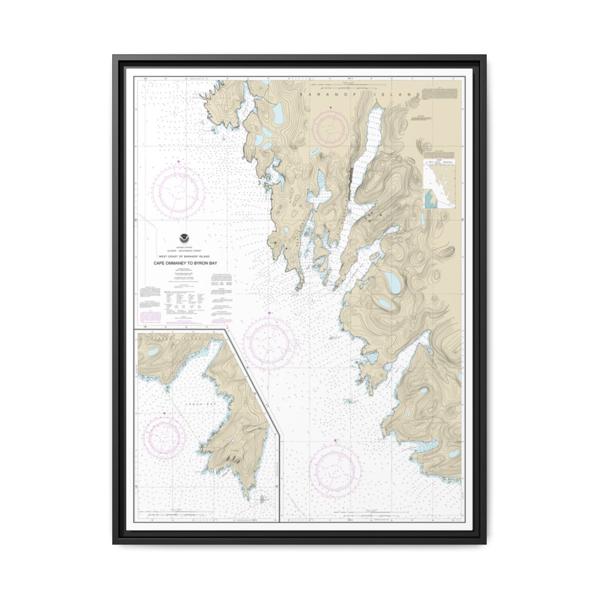 Chart 17330 West Coast of Baranof Island Cape Ommaney to Byron Bay - NOAA Nautical Chart Floating Frame Canvas | 24" x 32" | 30" x 40" - Black front
