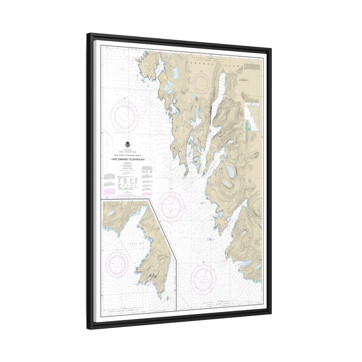 Chart 17330 West Coast of Baranof Island Cape Ommaney to Byron Bay - NOAA Nautical Chart Floating Frame Canvas | 24" x 32" | 30" x 40" - Black side