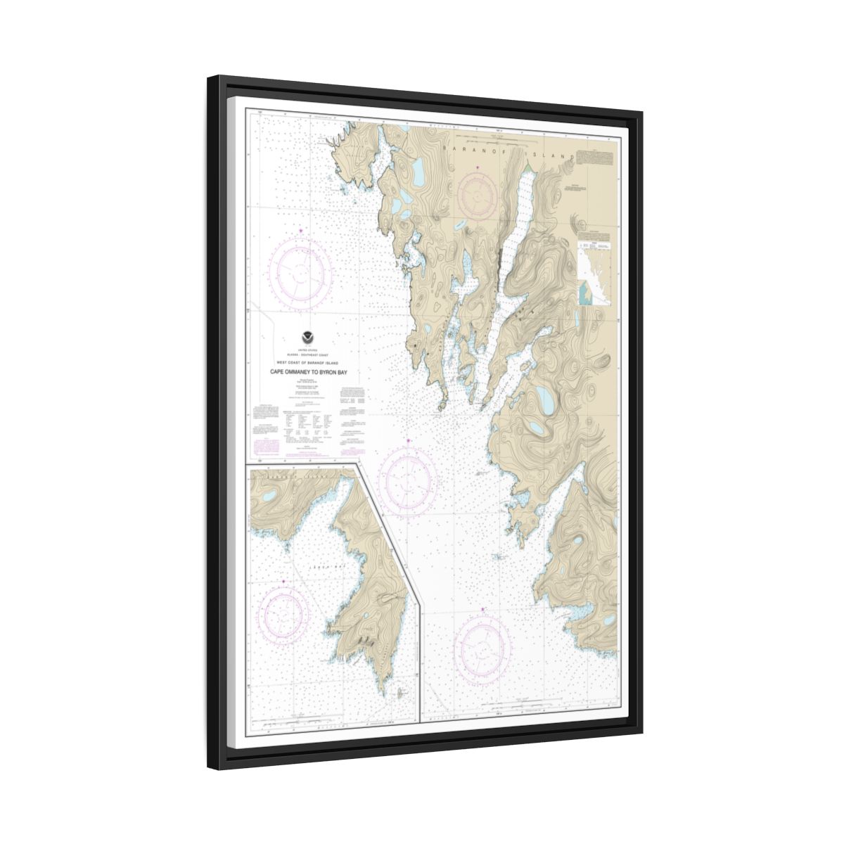 Chart 17330 West Coast of Baranof Island Cape Ommaney to Byron Bay - NOAA Nautical Chart Floating Frame Canvas | 24" x 32" | 30" x 40" - Black side