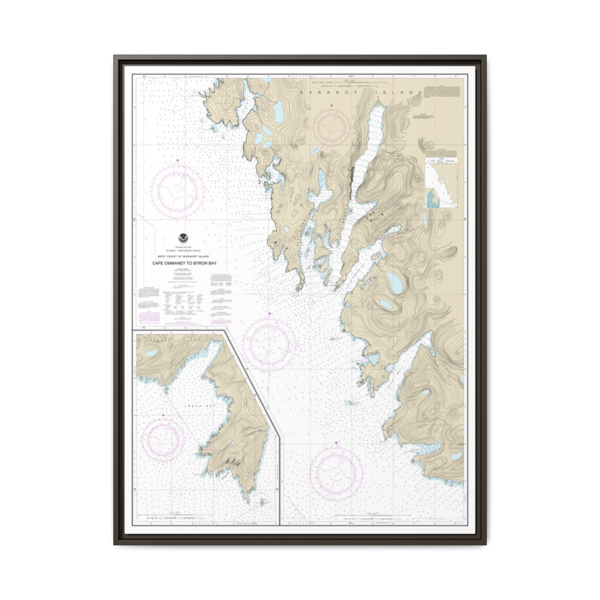 Chart 17330 West Coast of Baranof Island Cape Ommaney to Byron Bay - NOAA Nautical Chart Floating Frame Canvas | 24" x 32" | 30" x 40" - Espresso front