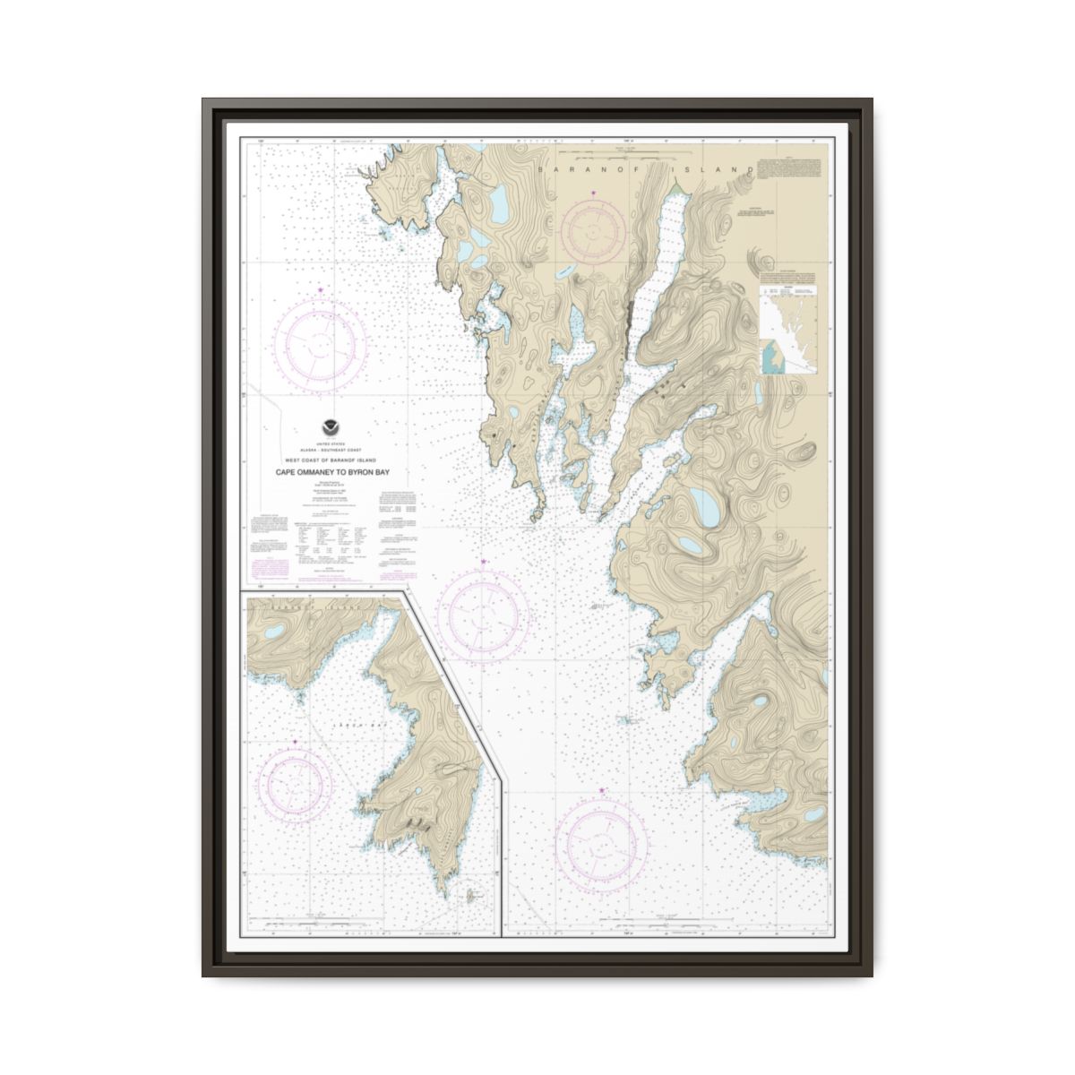Chart 17330 West Coast of Baranof Island Cape Ommaney to Byron Bay - NOAA Nautical Chart Floating Frame Canvas | 24" x 32" | 30" x 40" - Espresso front