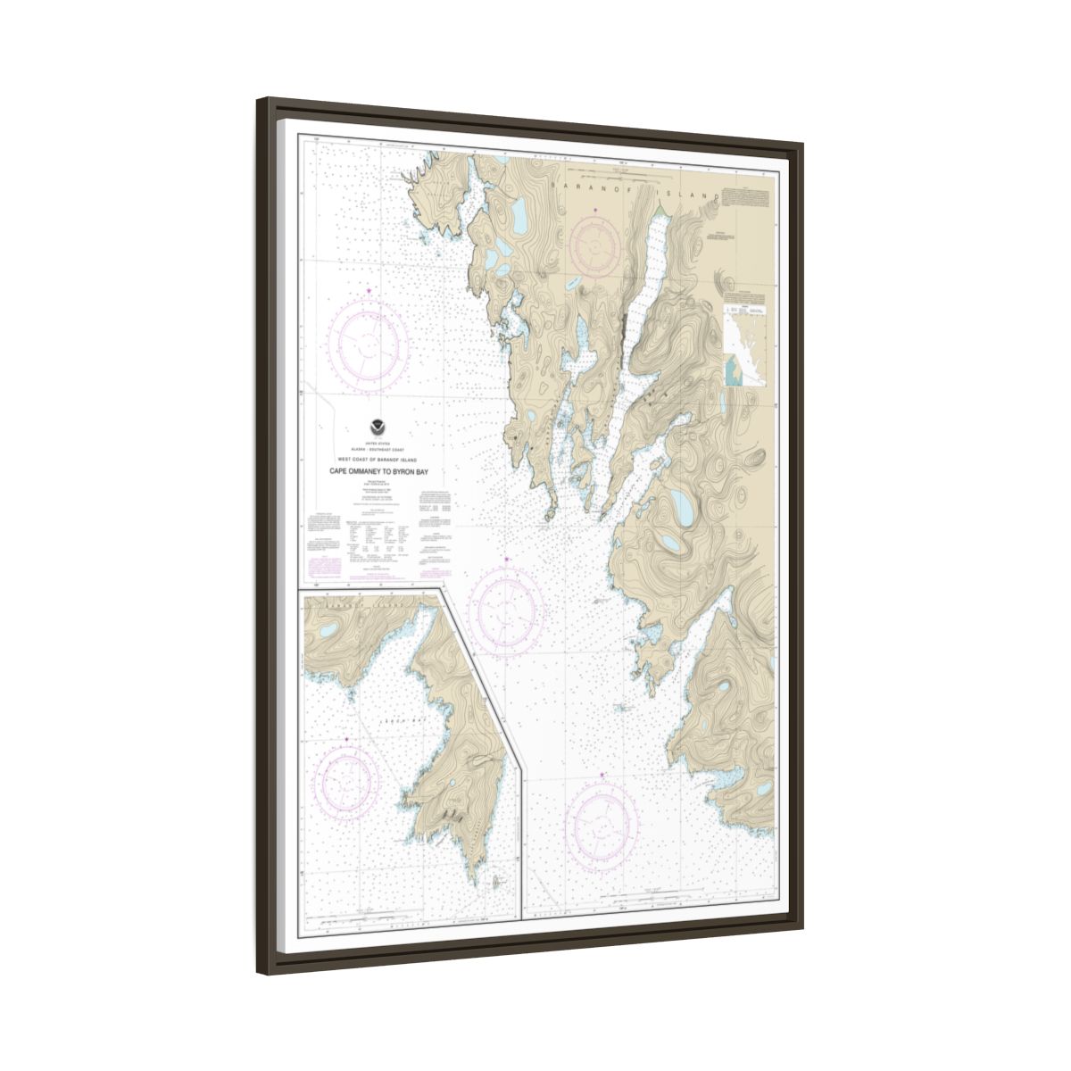 Chart 17330 West Coast of Baranof Island Cape Ommaney to Byron Bay - NOAA Nautical Chart Floating Frame Canvas | 24" x 32" | 30" x 40" - Espresso side