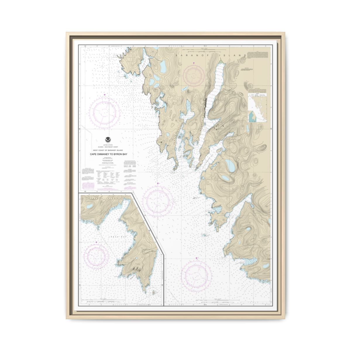 Chart 17330 West Coast of Baranof Island Cape Ommaney to Byron Bay - NOAA Nautical Chart Floating Frame Canvas | 24" x 32" | 30" x 40" - Natural front