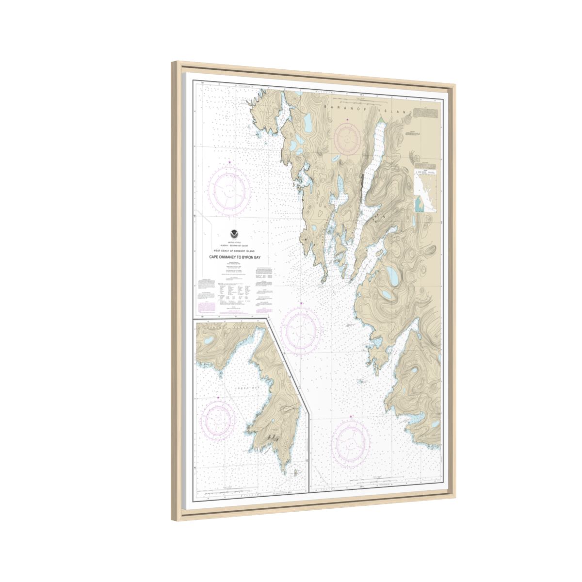 Chart 17330 West Coast of Baranof Island Cape Ommaney to Byron Bay - NOAA Nautical Chart Floating Frame Canvas | 24" x 32" | 30" x 40" - Natural side