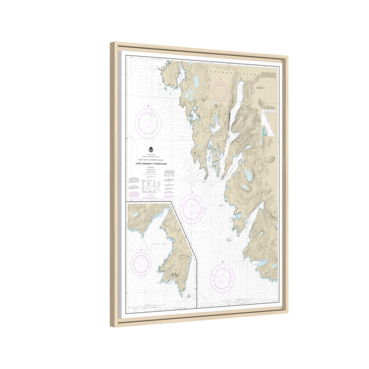 Chart 17330 West Coast of Baranof Island Cape Ommaney to Byron Bay - NOAA Nautical Chart Floating Frame Canvas | 24" x 32" | 30" x 40" - Natural side