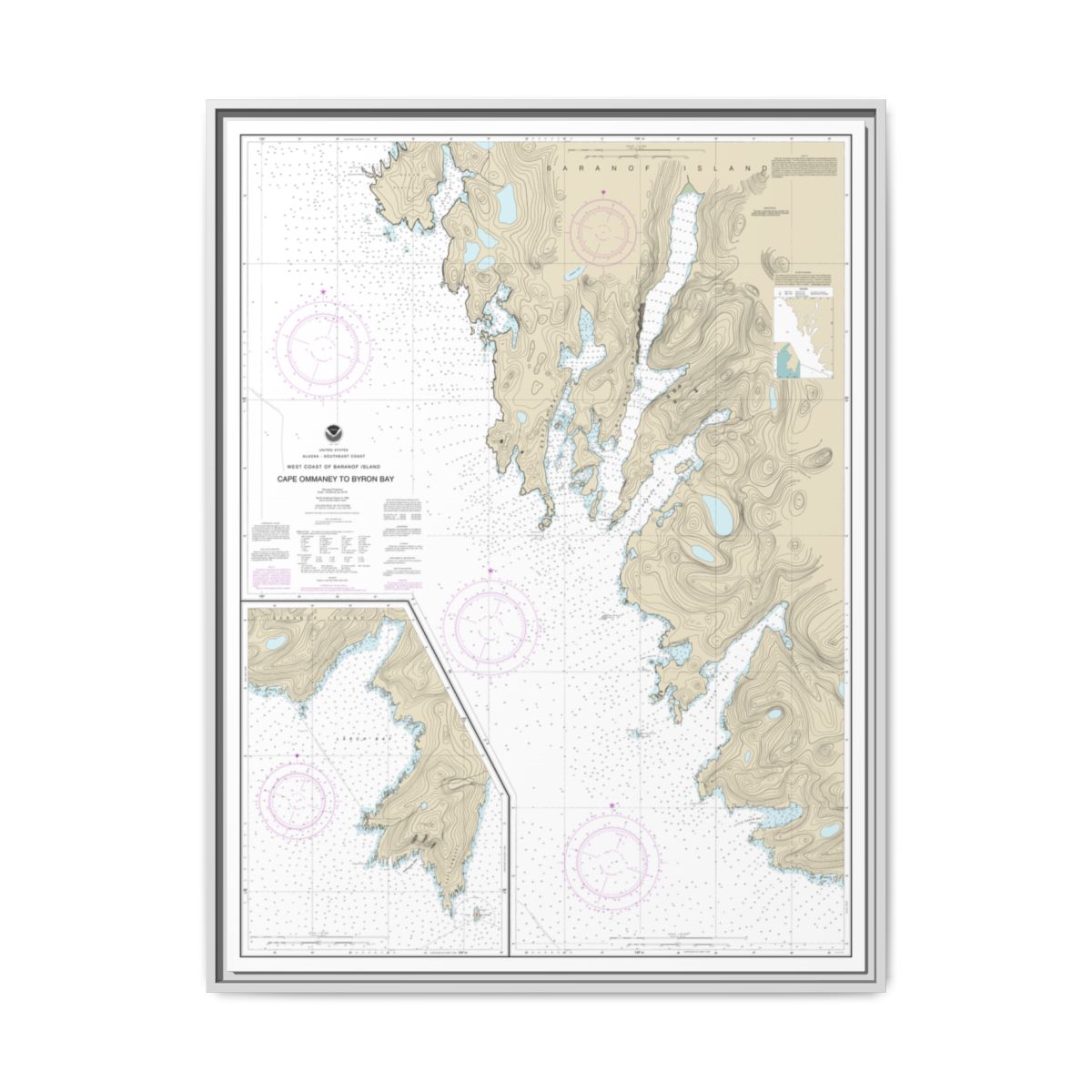 Chart 17330 West Coast of Baranof Island Cape Ommaney to Byron Bay - NOAA Nautical Chart Floating Frame Canvas | 24" x 32" | 30" x 40" - White front
