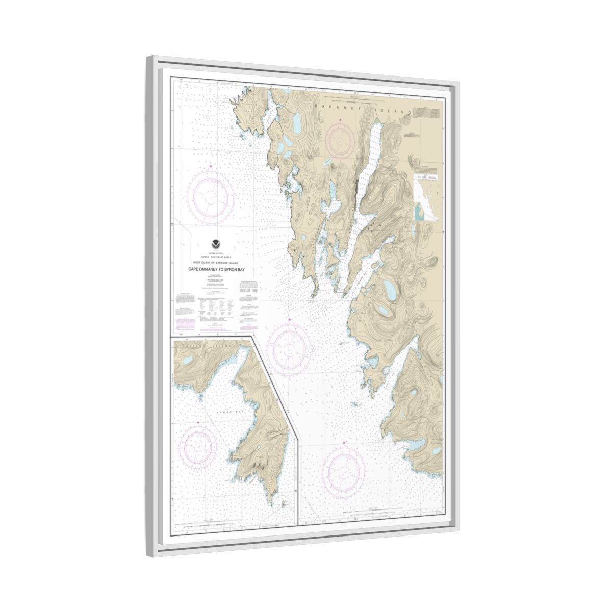 Chart 17330 West Coast of Baranof Island Cape Ommaney to Byron Bay - NOAA Nautical Chart Floating Frame Canvas | 24" x 32" | 30" x 40" - White side