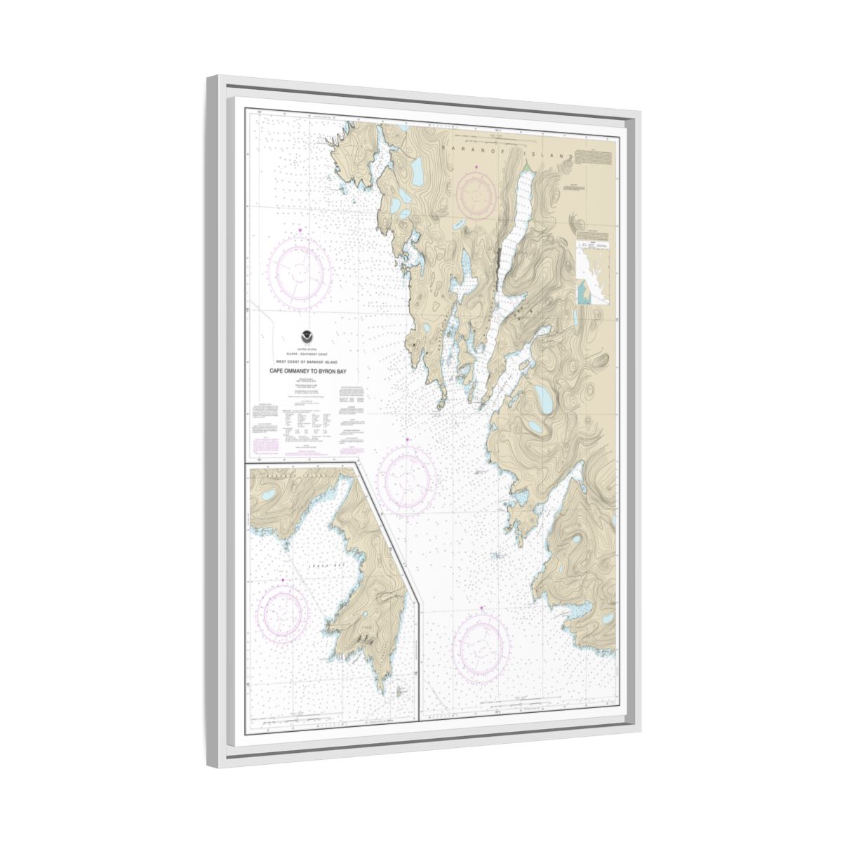 Chart 17330 West Coast of Baranof Island Cape Ommaney to Byron Bay - NOAA Nautical Chart Floating Frame Canvas | 24" x 32" | 30" x 40" - White side